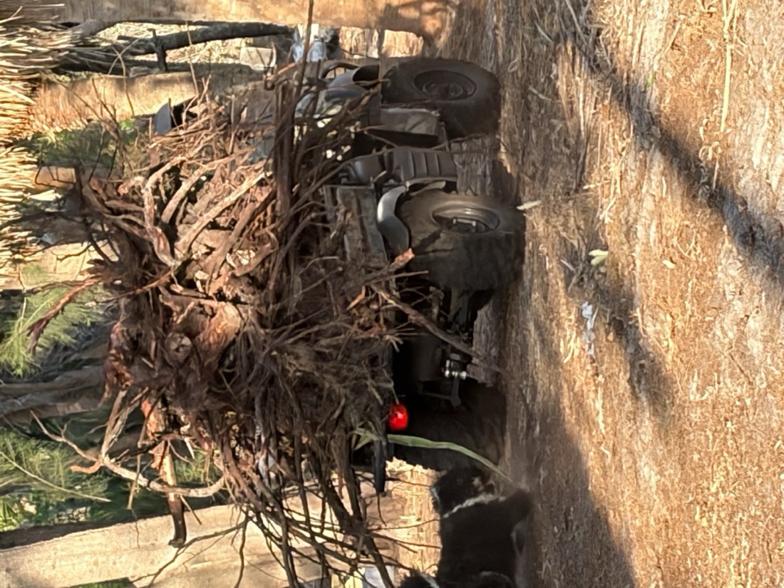 A utility vehicle loaded high with cleared brush