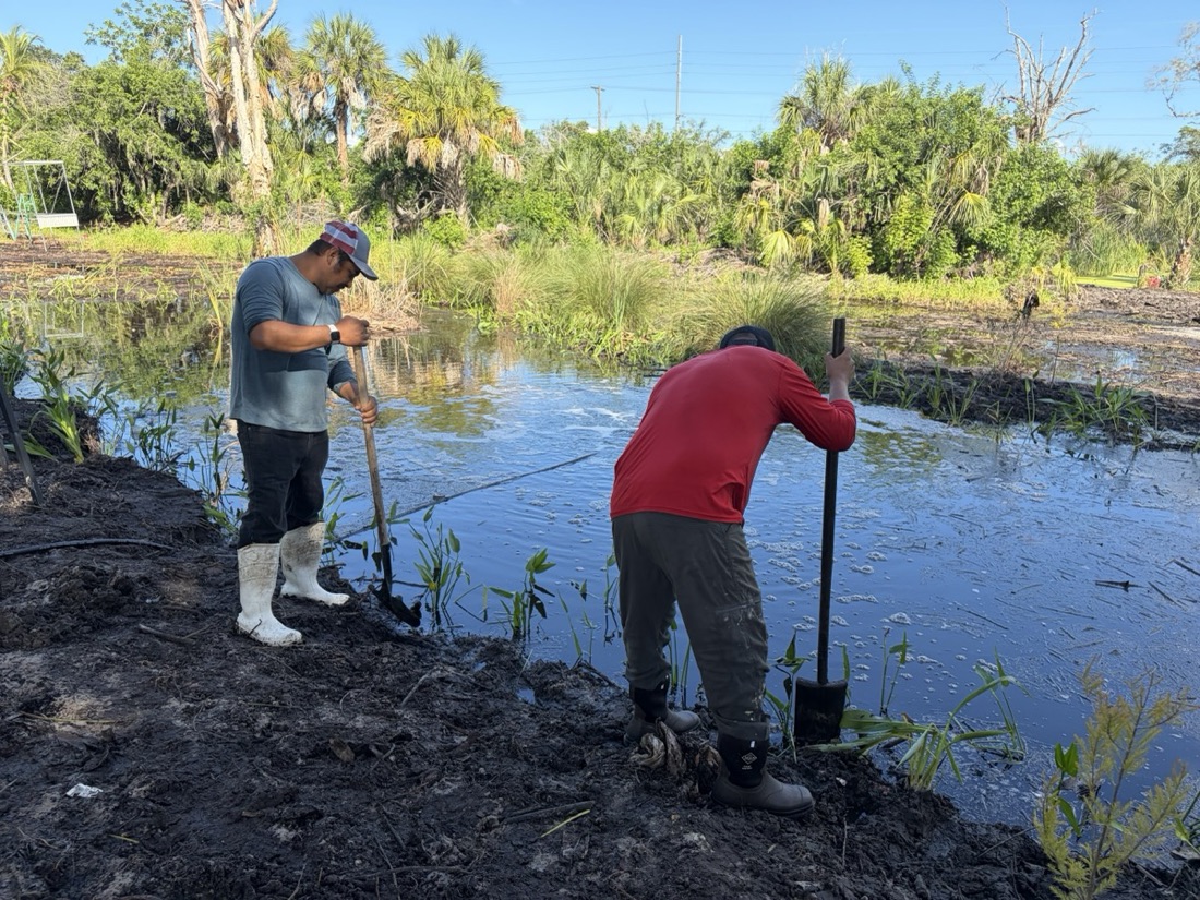 Two crew members planting the littoral zone at the edge of a freshwater pond