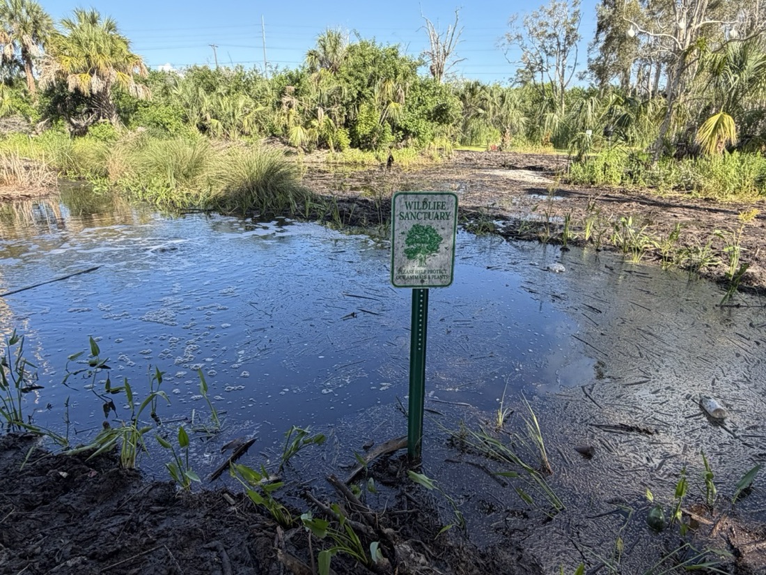 A Wildlife Sanctuary sign standing in a restored pond