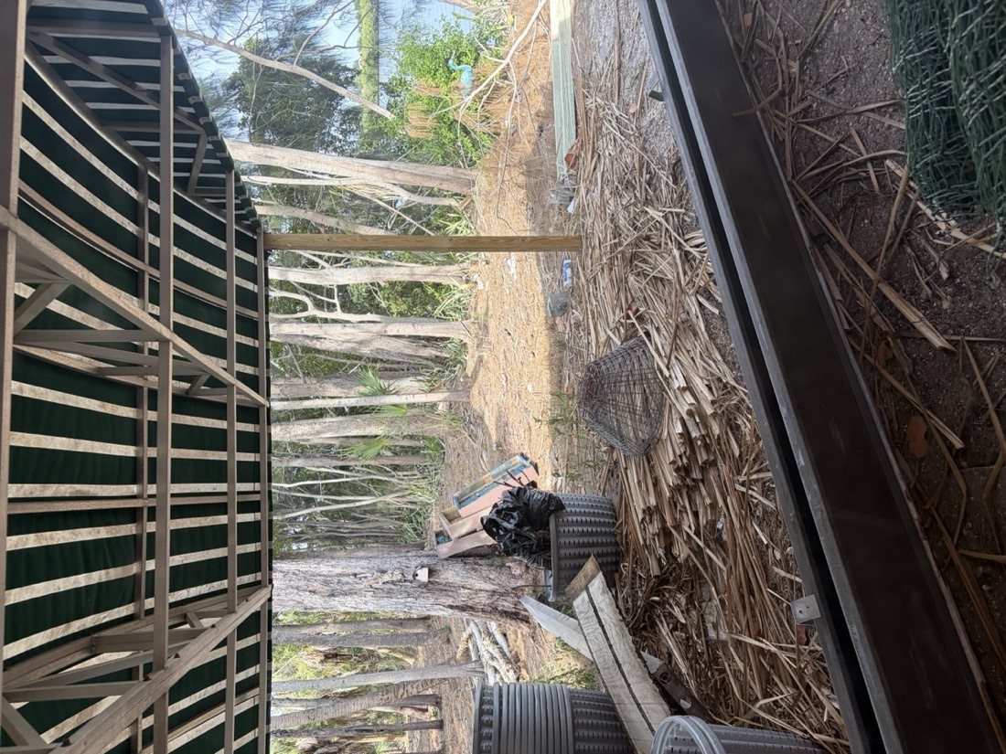 The riverside workshop with bamboo, baskets, and wire nest forms